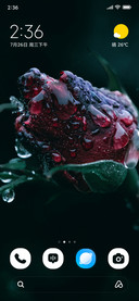 Crimson Bloom