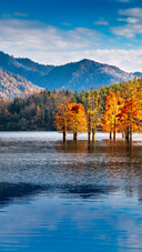 Autumn paints the forest in layers and intoxicates the