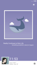Whale Lite