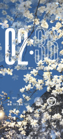 全屏景深 繁花一梦