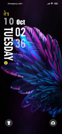 Colorful wings