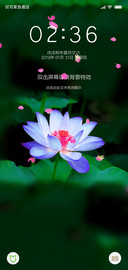 荷家幸福