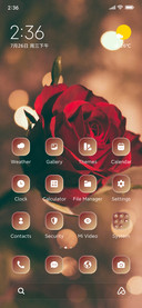 Rose