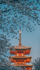 Night View of Wuzhong Tower in Wuhan East Lake Cherry Garden