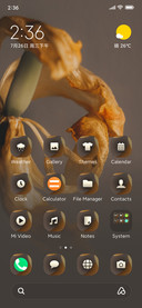 Minimal_Flower