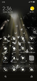 Light Butterfly