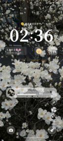 知玉兰开