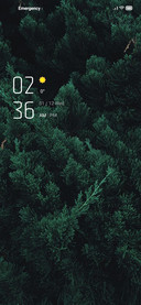 D Lite v11