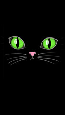 Cute cartoon cat