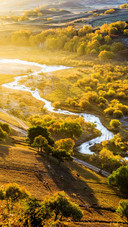 Autumn comes to the bashang area