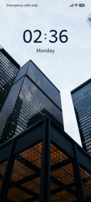 Steel Form