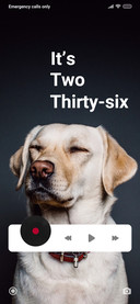 Dog_2