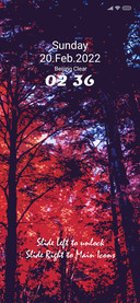 Tall Trees