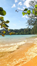 Natural sea
