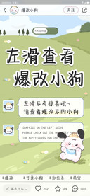 左滑查看爆改小狗