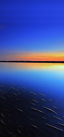 夕阳