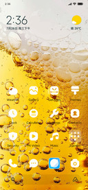 beer