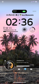 绝美椰树