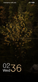 Verdant Mis