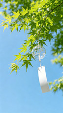 绿白配色好完美