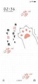 可爱的小猫爪