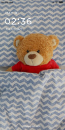 TEDDY_DWM19