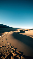 Sand dunes and ruts