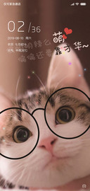 猫咪