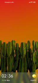 cactus