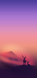 夜幕下的陪伴