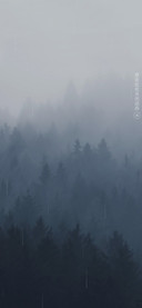 雨季