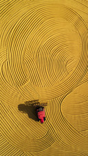 The picture of harvest is so beautiful 24