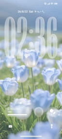 Flower Transparent