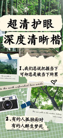 超清护眼深度清晰楷