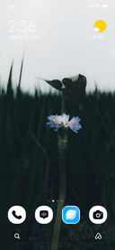 Quiet Meadow