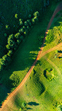 The road on the meadow