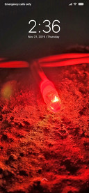 Red Bulb_DWM3
