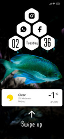 jelly