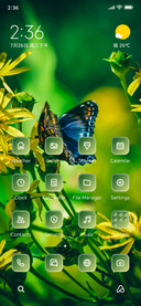 Butterfly