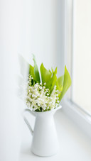 Bouquet of fresh spring lilies of the valley