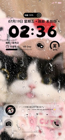猫猫陪你淋雨起雾了