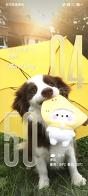 ins 小狗乌托邦