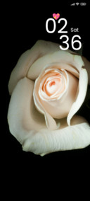 White Rose