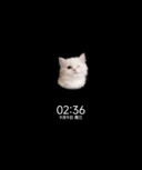 os涂鸦 猫猫想你