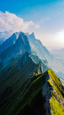 Summer in the Alps