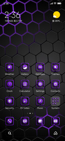 PURPLE NIGHT