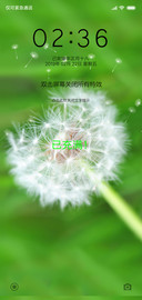 蒲公英飘飞