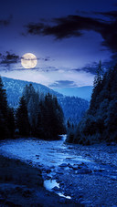 Moon