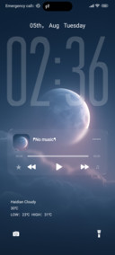 night moonlight