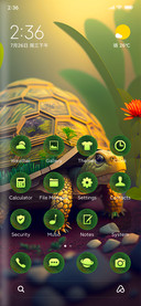 wild tortoise